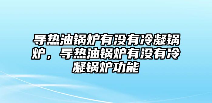 導(dǎo)熱油鍋爐有沒有冷凝鍋爐，導(dǎo)熱油鍋爐有沒有冷凝鍋爐功能