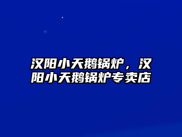 漢陽小天鵝鍋爐，漢陽小天鵝鍋爐專賣店