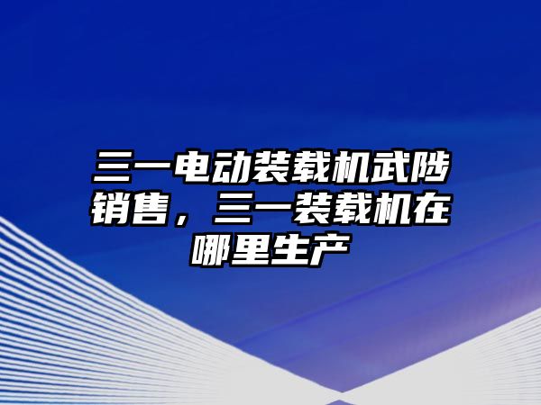 三一電動裝載機武陟銷售，三一裝載機在哪里生產