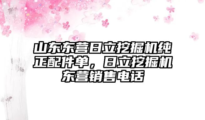 山東東營日立挖掘機純正配件單，日立挖掘機東營銷售電話