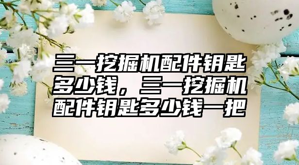 三一挖掘機配件鑰匙多少錢，三一挖掘機配件鑰匙多少錢一把