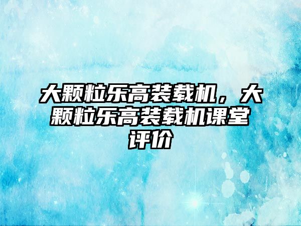 大顆粒樂(lè)高裝載機(jī)，大顆粒樂(lè)高裝載機(jī)課堂評(píng)價(jià)