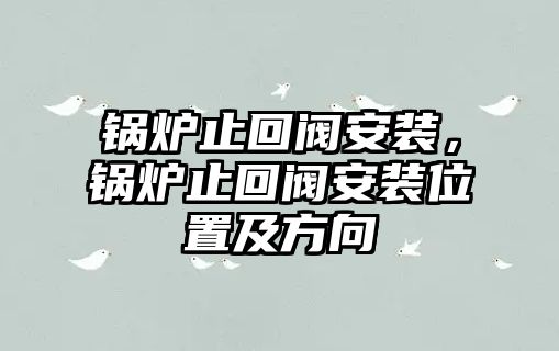 鍋爐止回閥安裝，鍋爐止回閥安裝位置及方向