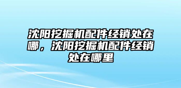 沈陽挖掘機(jī)配件經(jīng)銷處在哪，沈陽挖掘機(jī)配件經(jīng)銷處在哪里