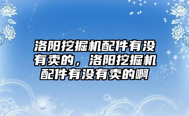 洛陽(yáng)挖掘機(jī)配件有沒(méi)有賣(mài)的，洛陽(yáng)挖掘機(jī)配件有沒(méi)有賣(mài)的啊