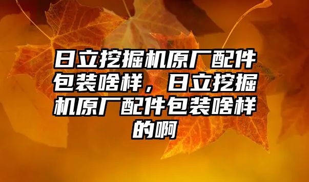 日立挖掘機原廠配件包裝啥樣，日立挖掘機原廠配件包裝啥樣的啊