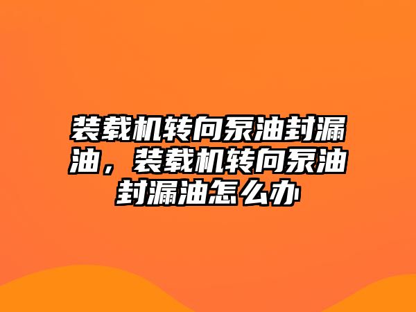 裝載機轉向泵油封漏油，裝載機轉向泵油封漏油怎么辦