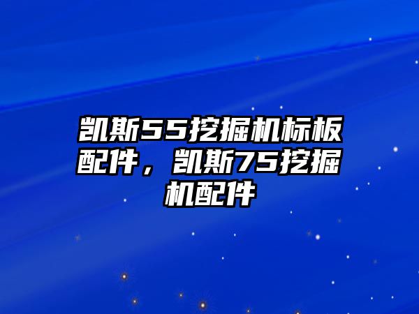 凱斯55挖掘機(jī)標(biāo)板配件，凱斯75挖掘機(jī)配件