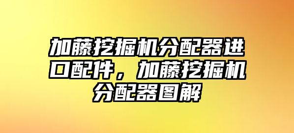 加藤挖掘機分配器進口配件，加藤挖掘機分配器圖解