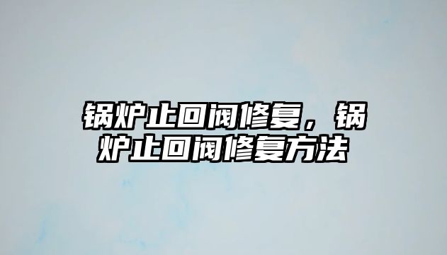 鍋爐止回閥修復(fù)，鍋爐止回閥修復(fù)方法