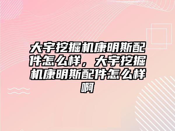 大宇挖掘機康明斯配件怎么樣，大宇挖掘機康明斯配件怎么樣啊