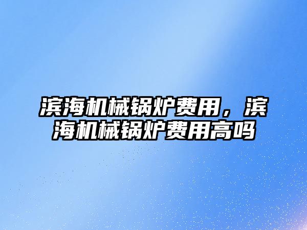 濱海機械鍋爐費用，濱海機械鍋爐費用高嗎