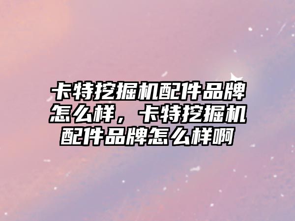 卡特挖掘機配件品牌怎么樣，卡特挖掘機配件品牌怎么樣啊