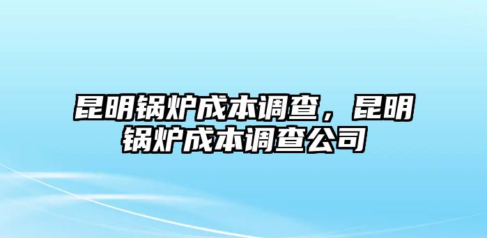 昆明鍋爐成本調(diào)查，昆明鍋爐成本調(diào)查公司