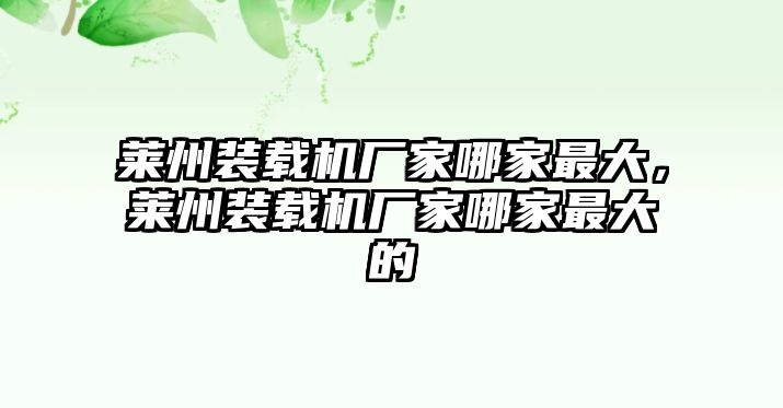 萊州裝載機(jī)廠家哪家最大，萊州裝載機(jī)廠家哪家最大的