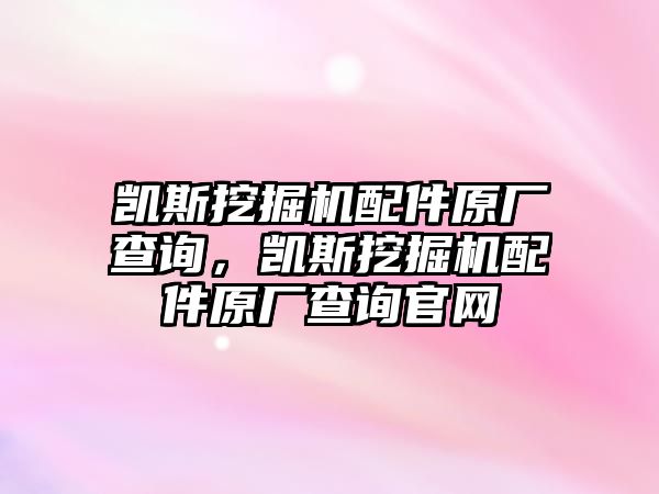 凱斯挖掘機(jī)配件原廠查詢，凱斯挖掘機(jī)配件原廠查詢官網(wǎng)