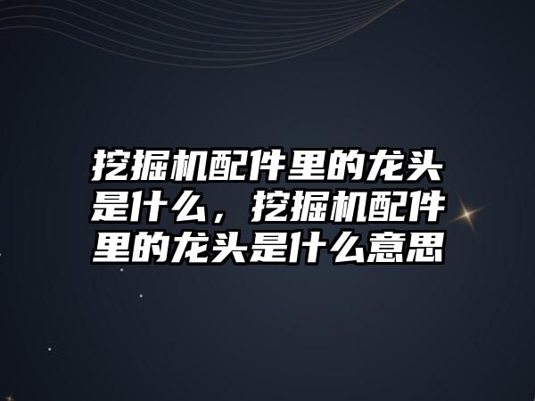 挖掘機(jī)配件里的龍頭是什么，挖掘機(jī)配件里的龍頭是什么意思