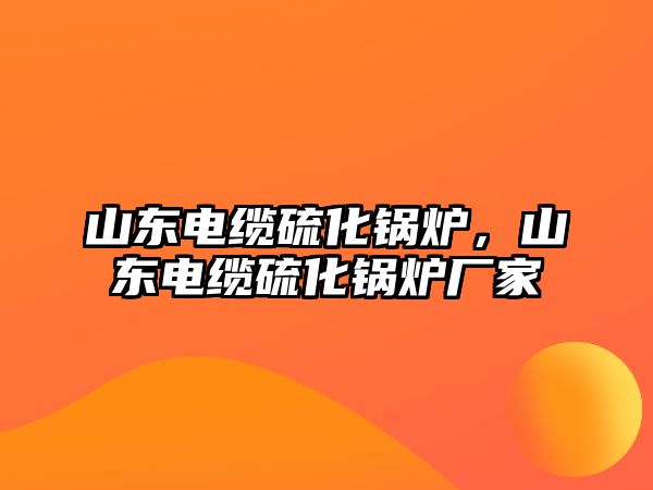 山東電纜硫化鍋爐，山東電纜硫化鍋爐廠家