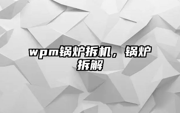 wpm鍋爐拆機，鍋爐拆解