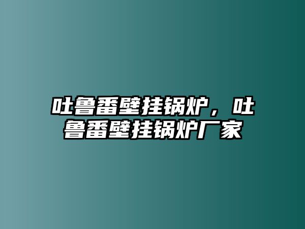 吐魯番壁掛鍋爐，吐魯番壁掛鍋爐廠家