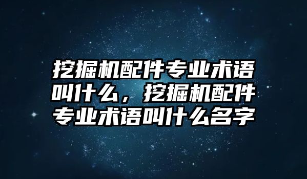 挖掘機(jī)配件專業(yè)術(shù)語叫什么，挖掘機(jī)配件專業(yè)術(shù)語叫什么名字