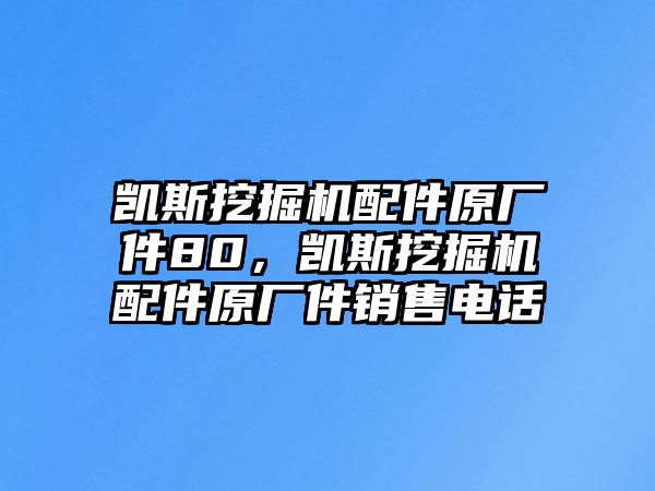 凱斯挖掘機配件原廠件80，凱斯挖掘機配件原廠件銷售電話