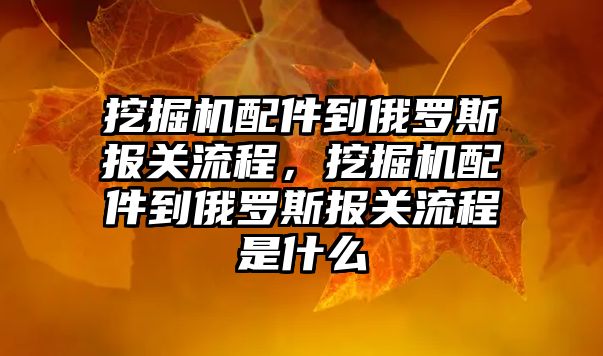 挖掘機配件到俄羅斯報關流程，挖掘機配件到俄羅斯報關流程是什么