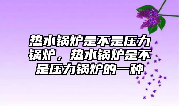 熱水鍋爐是不是壓力鍋爐，熱水鍋爐是不是壓力鍋爐的一種