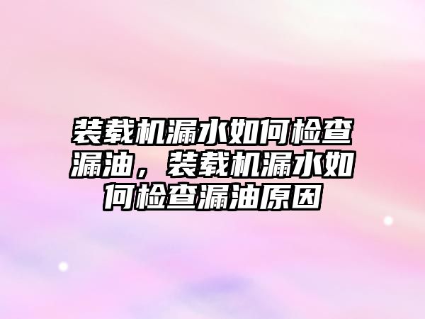 裝載機(jī)漏水如何檢查漏油，裝載機(jī)漏水如何檢查漏油原因