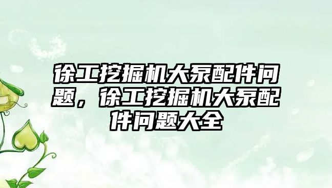 徐工挖掘機大泵配件問題，徐工挖掘機大泵配件問題大全