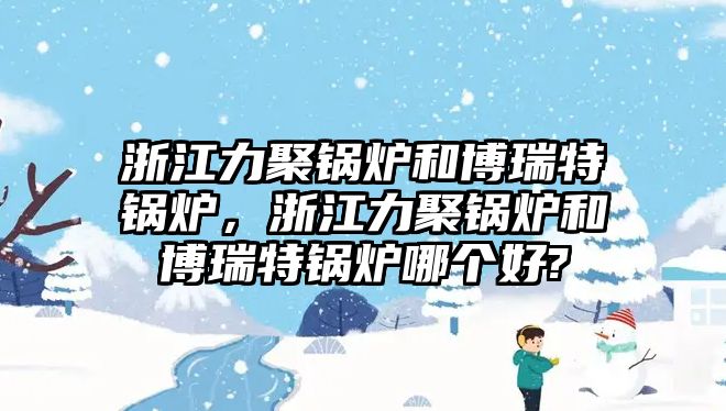 浙江力聚鍋爐和博瑞特鍋爐，浙江力聚鍋爐和博瑞特鍋爐哪個(gè)好?