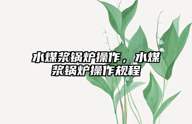 水煤漿鍋爐操作，水煤漿鍋爐操作規(guī)程