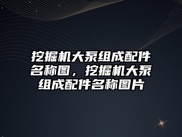 挖掘機(jī)大泵組成配件名稱圖，挖掘機(jī)大泵組成配件名稱圖片