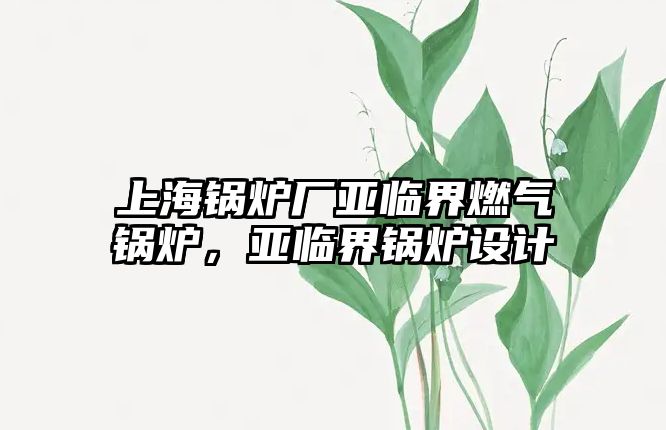 上海鍋爐廠亞臨界燃?xì)忮仩t，亞臨界鍋爐設(shè)計(jì)