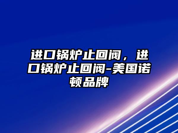 進(jìn)口鍋爐止回閥，進(jìn)口鍋爐止回閥-美國(guó)諾頓品牌