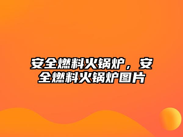 安全燃料火鍋爐，安全燃料火鍋爐圖片