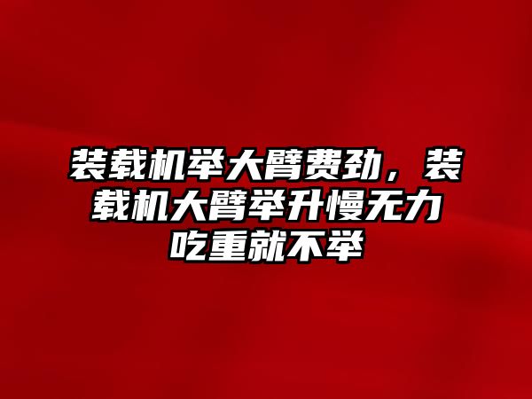 裝載機(jī)舉大臂費(fèi)勁，裝載機(jī)大臂舉升慢無力吃重就不舉