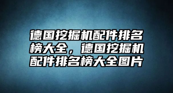 德國挖掘機(jī)配件排名榜大全，德國挖掘機(jī)配件排名榜大全圖片