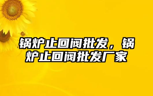 鍋爐止回閥批發(fā)，鍋爐止回閥批發(fā)廠家