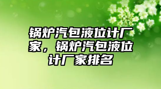 鍋爐汽包液位計(jì)廠家，鍋爐汽包液位計(jì)廠家排名