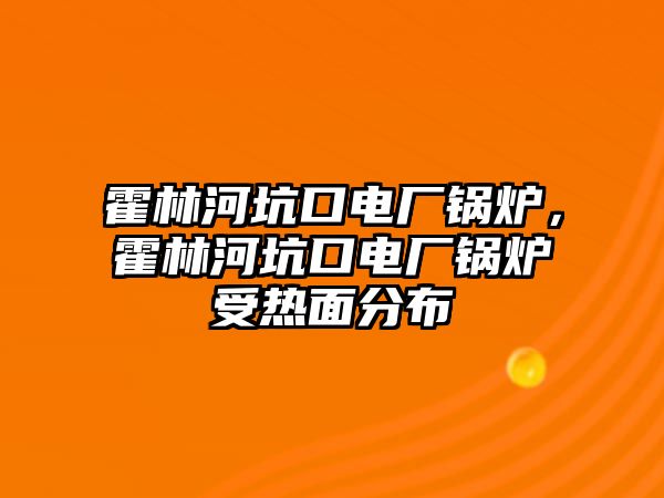 霍林河坑口電廠鍋爐，霍林河坑口電廠鍋爐受熱面分布