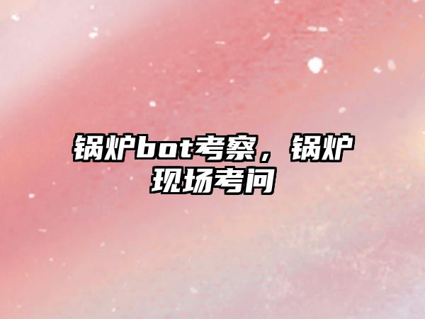 鍋爐bot考察，鍋爐現(xiàn)場考問