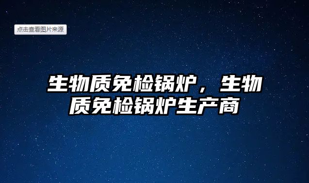 生物質(zhì)免檢鍋爐，生物質(zhì)免檢鍋爐生產(chǎn)商