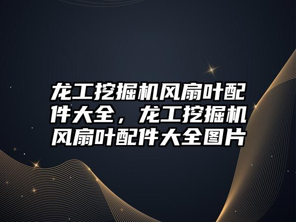 龍工挖掘機風扇葉配件大全，龍工挖掘機風扇葉配件大全圖片