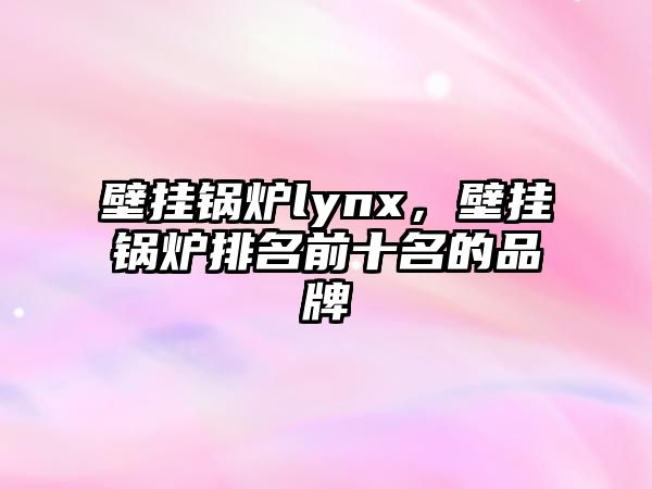 壁掛鍋爐lynx，壁掛鍋爐排名前十名的品牌