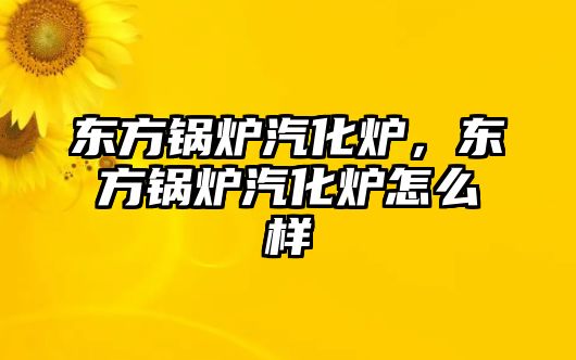 東方鍋爐汽化爐，東方鍋爐汽化爐怎么樣