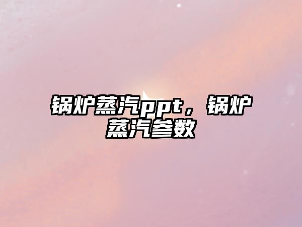 鍋爐蒸汽ppt，鍋爐蒸汽參數(shù)