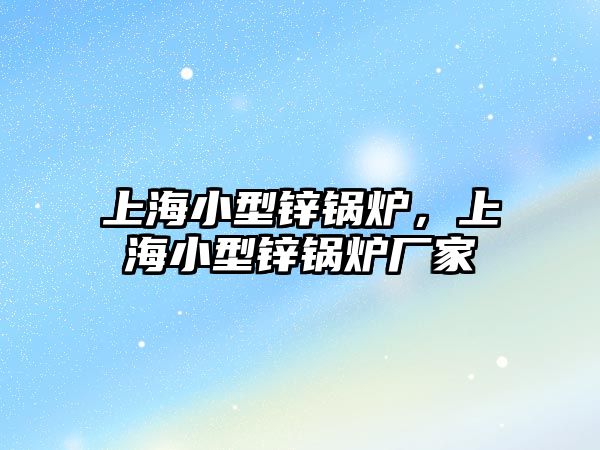 上海小型鋅鍋爐，上海小型鋅鍋爐廠家