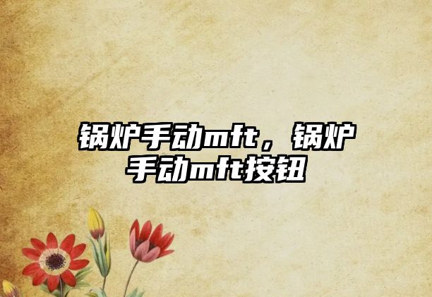 鍋爐手動(dòng)mft，鍋爐手動(dòng)mft按鈕