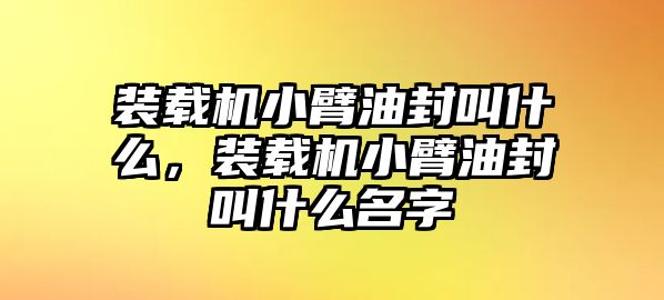 裝載機小臂油封叫什么，裝載機小臂油封叫什么名字